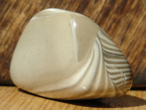 Silicit N07