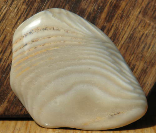Silicit N08
