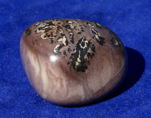 Porcelanit 13
