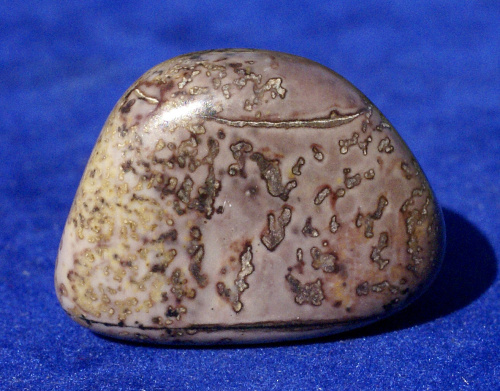 Porcelanit 19