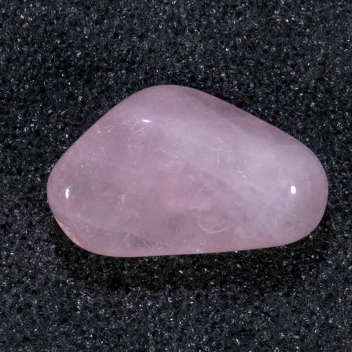 Růženín 25