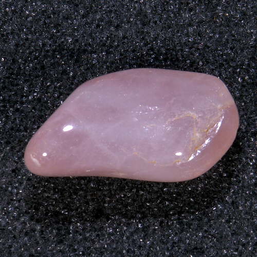 Růženín 28