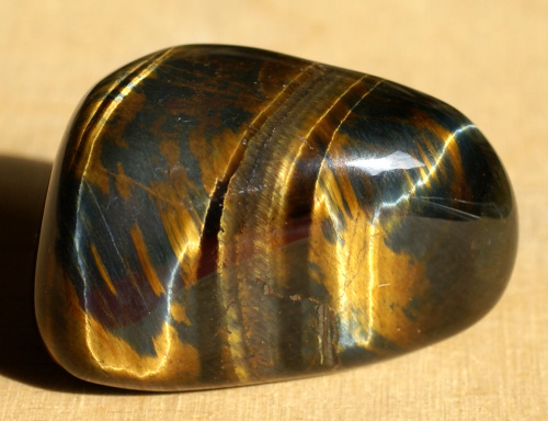 Sokolí oko 08