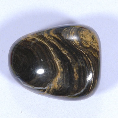 Stromatolit 22