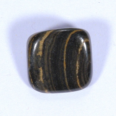 Stromatolit 31