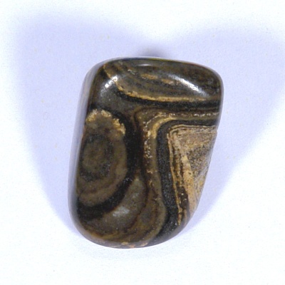 Stromatolit 39