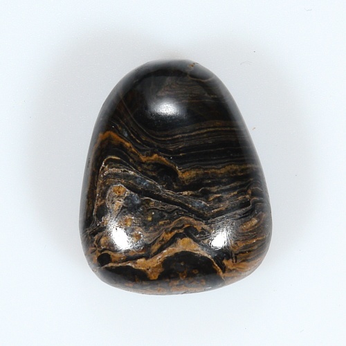 Stromatolit 43
