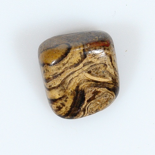 Stromatolit 44