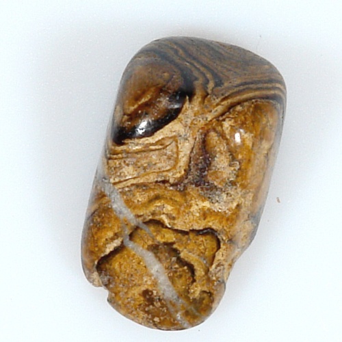 Stromatolit 46