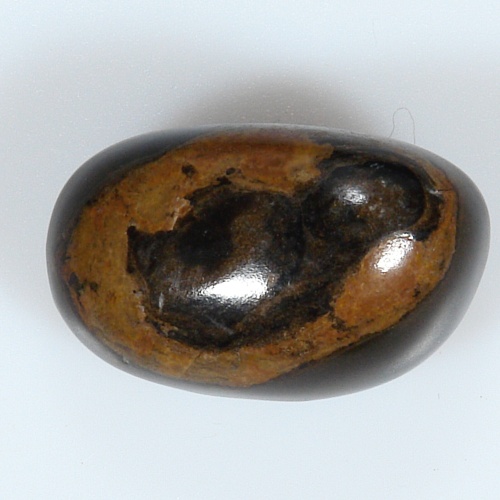 Stromatolit 51