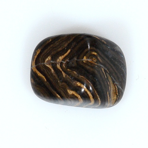 Stromatolit 55
