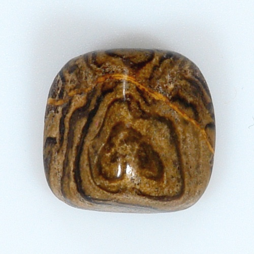 Stromatolit 56