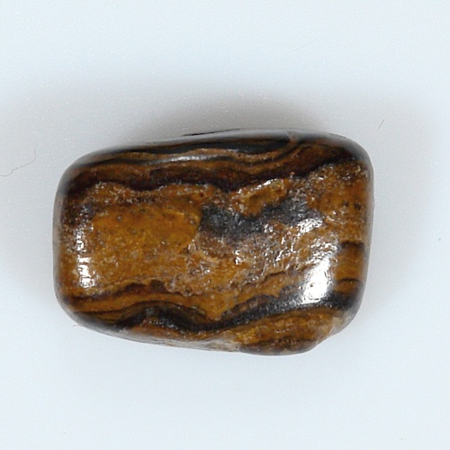Stromatolit 67