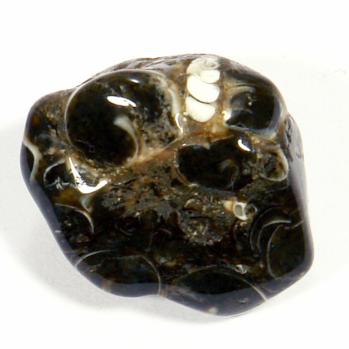 Turritella - fosílie 55