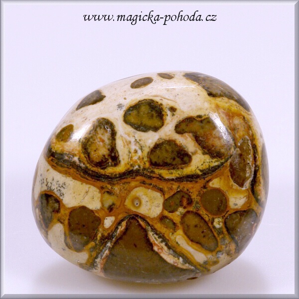 Vřídlovec P0210XI052