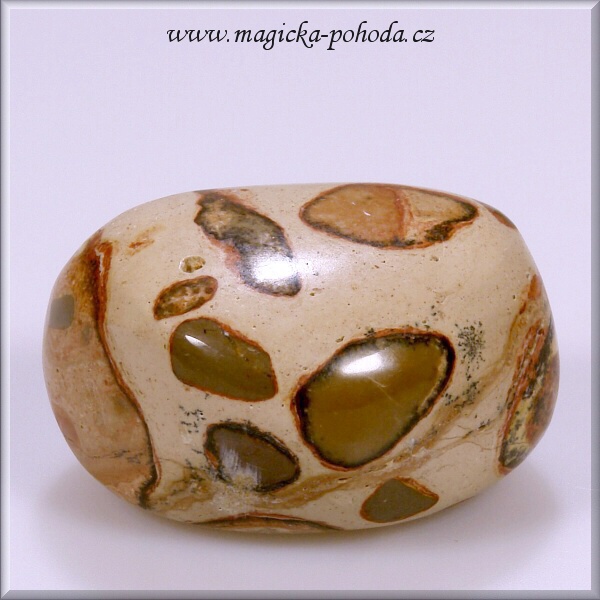 Vřídlovec P0210XI054