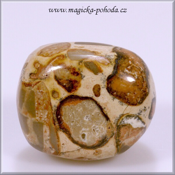 Vřídlovec P0310XI001