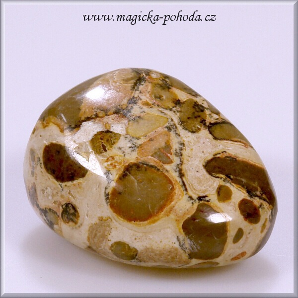 Vřídlovec P0310XI003