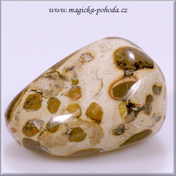 Vřídlovec P0310XI003